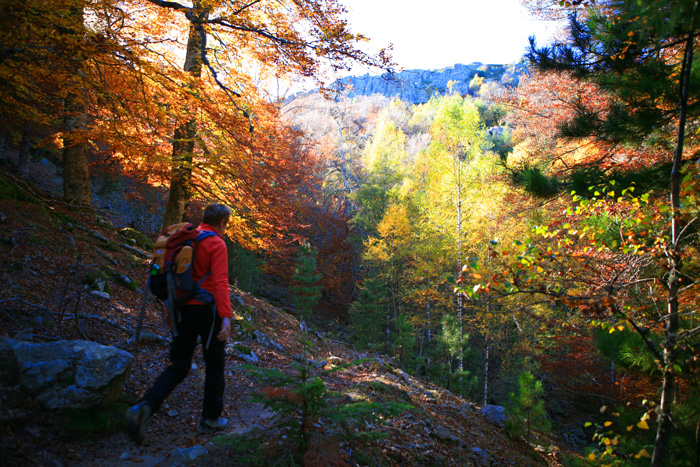 saison chemin stevenson